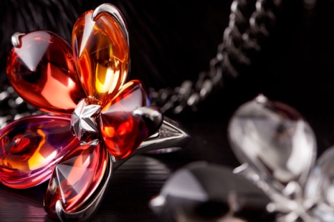 Image de la conférence