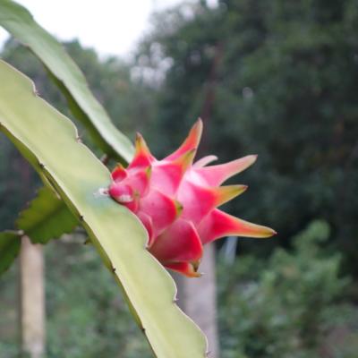 Image de l'événement