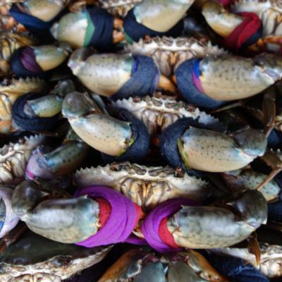 Image de l'événement