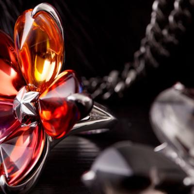 Image de la conférence