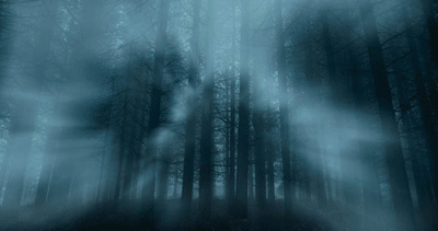 Image de la conférence