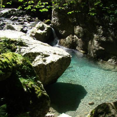 Image de l'événement