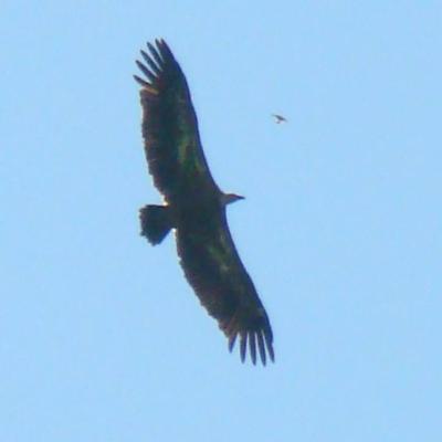 Image de l'événement