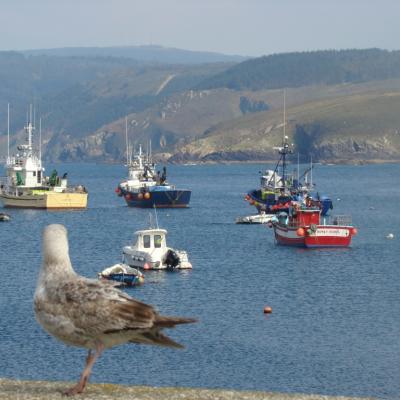 Image de l'événement