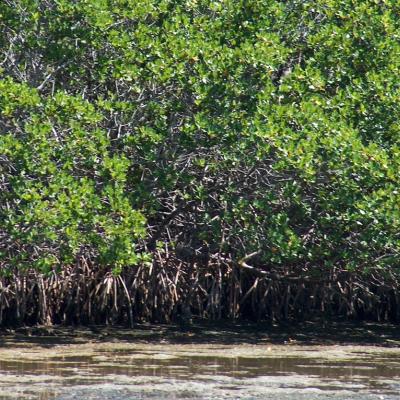 Image de l'événement