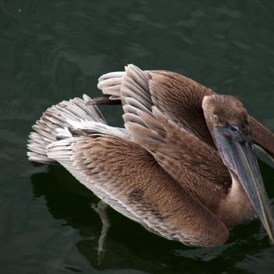 Image de l'événement