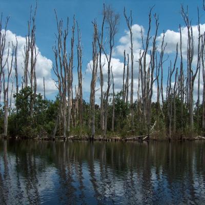 Image de l'événement