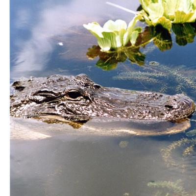 Image de l'événement