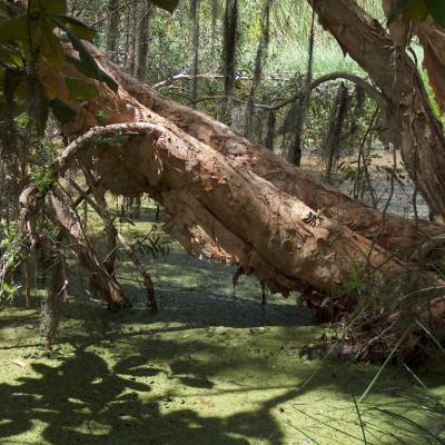 Image de l'événement