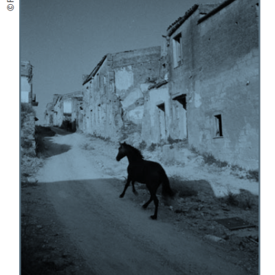 Image de la conférence