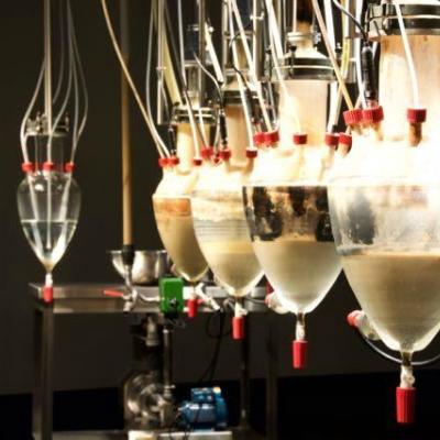 Image de l'événement