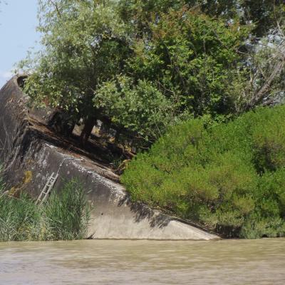 Image de la conférence