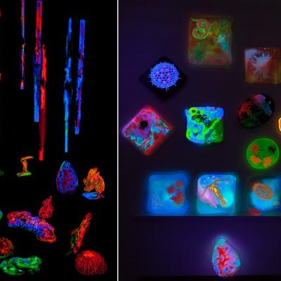 Image de la conférence