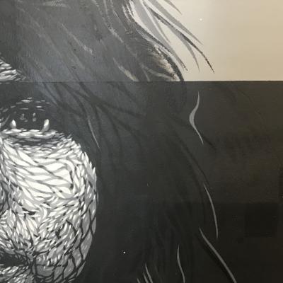 Image de la conférence