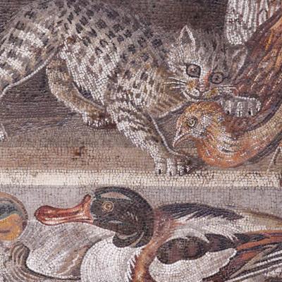 Image de l'événement